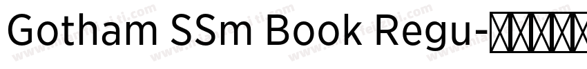 Gotham SSm Book Regu字体转换